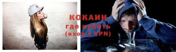 apvp Богородицк